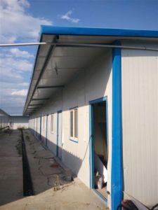 timg (17).jpg timg (17).jpg